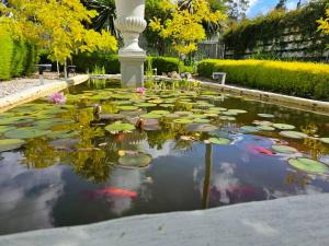 Blossom Cottage - Cosy Retreat في Penna: حديقة بها بركة بها زنابق ونافورة