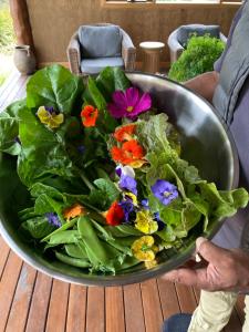 Foto dalla galleria di The Little Seed a Franklin