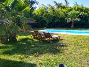 two lounge chairs sitting next to a swimming pool at La landaise in Laluque +12 photos