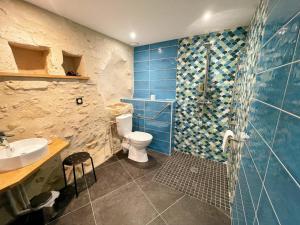 a bathroom with a shower and a toilet and a sink at Gîte de charme en Touraine avec jardin, proche châteaux de la Loire - FR-1-381-598 in Avon-les-Roches +27 photos