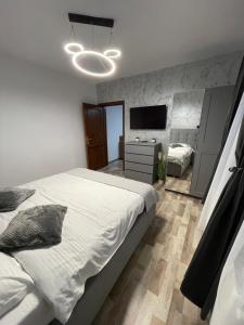 a bedroom with a large bed and a television at Casa Iancu in Buşteni