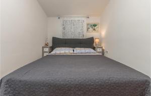 Posteľ alebo postele v izbe v ubytovaní Cozy Apartment In Pakostane With Wifi