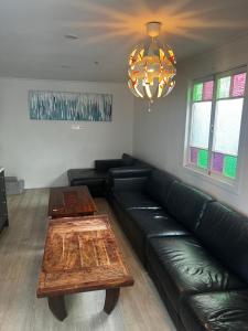 Seating area sa Palm Hamilton Backpacker