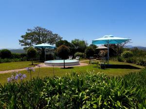 Κήπος έξω από το The Blue Crane