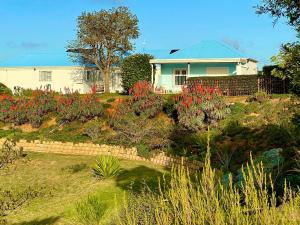 Κήπος έξω από το The Blue Crane