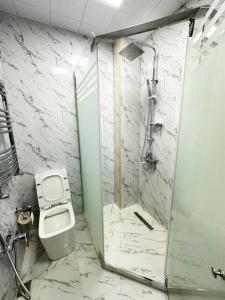 a bathroom with a toilet and a walk in shower at Nizami Luxury Apart in Baku