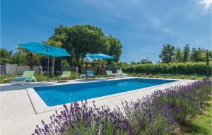 a swimming pool with chairs and umbrellas in a yard at Stunning Home In Bale in Bale