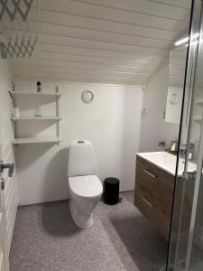 a bathroom with a toilet and a sink at Stor hybel in Tromsø
