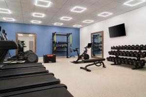 Fitness centrum a/nebo fitness zařízení v ubytování Hampton Inn & Suites Amarillo West