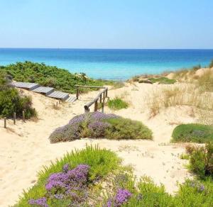 a sandy beach with a bench and purple flowers at Casa Salento Mare in Torre Ovo