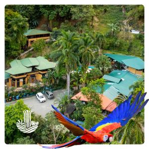 Bazén v ubytování Boutique Hotel Las Cascadas nebo v jeho okolí