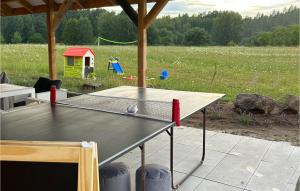 a ping pong table with a playground in a field at Nice Home In Stare Sady With Kitchen in Stare Sady +13 photos