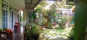 Сад в Latar Amba Guest House