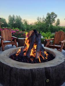 a fire pit with two chairs in a yard at Crooked River Lodge in Alanson