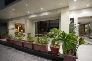 En have udenfor عز الدولية للشقق المخدومه Ezz International for Serviced Apartments