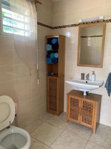 Koupelna v ubytování Maison charmante à Sainte-Anne avec piscine privée