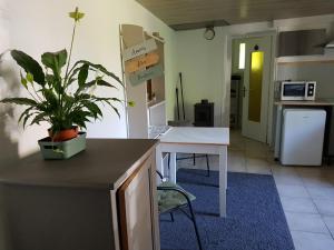a kitchen with a table and a potted plant on the counter at La Petite Maison du Gardien in Sainte-Agnès