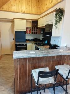 Kuhinja ili čajna kuhinja u objektu The Apartment