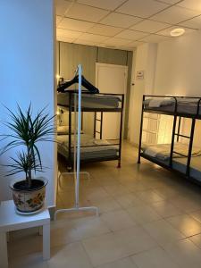 Posteľ alebo postele v izbe v ubytovaní NC Hostel