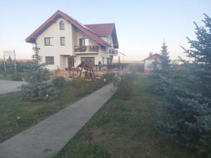 Gambar di galeri bagi Pensiunea Lucian di Bălţaţi +32 gambar