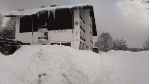 Apartmán Almberg - Mitterdorf - Mitterfirmiansrout v zimě
