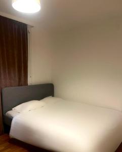 ジュネーヴにあるAppartement Marieの窓のある部屋にある白いベッド