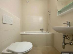 ジュネーヴにあるAppartement Marieのトイレと洗面台付きのバスルーム