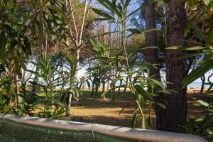 A garden outside Appartamento La Pineta Nord - MyHo Casa