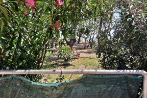 A garden outside Appartamento La Pineta Nord - MyHo Casa