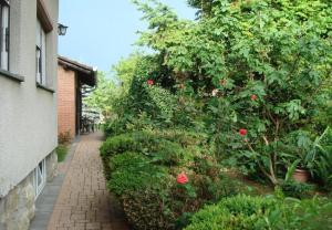 a garden with a tree and a brick walkway at Rooms Branka in Križevci