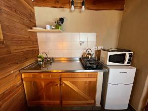 a small kitchen with a sink and a microwave at Costa Traful in Villa Traful