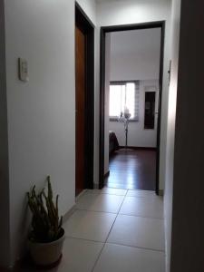 un couloir avec une porte et une plante en pot dans l'établissement Cómodo y moderno departamento con cochera, a pasos de la principal calle comercial de la ciudad, à La Plata