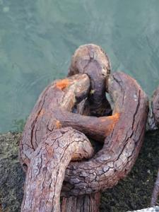 Afbeelding uit fotogalerij van Al molo 21 in La Spezia +28 foto's