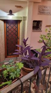 a bunch of potted plants in front of a door at La casa di Agnese in Fiuggi