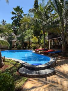 a swimming pool with a bench and palm trees at African Bungalows in Nungwi
