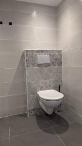 a bathroom with a toilet and a tiled wall at L'Atelier d'Henri centre-ville Annonay in Annonay
