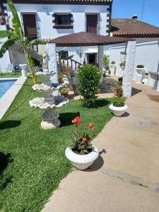 Κήπος έξω από το Villa completa con piscina en Arcos de la frontera