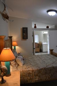 un dormitorio con una cama y una lámpara en Mountain Cabin Retreat, en Florissant
