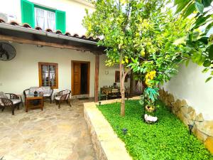 una casa con un árbol en el patio en Galaxidi Traditional Villa, en Galaxidhion