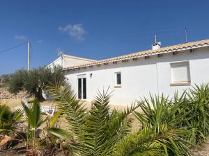 a white house with palm trees in front of it at RenBeck lets 2 in Urcal