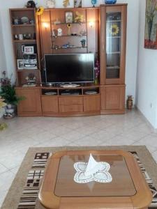 Televízia a/alebo spoločenská miestnosť v ubytovaní Apartment Juri