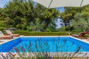 a swimming pool in a yard with an umbrella at House Sanda in Mirce