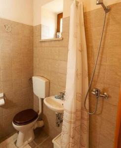 a small bathroom with a toilet and a sink at House Villa Ana, Bale and Rovinj in Bale