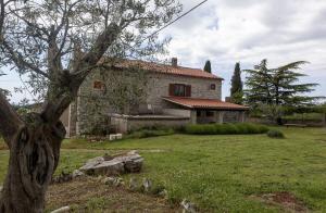 a house with a tree in front of a yard at House Villa Ana, Bale and Rovinj in Bale