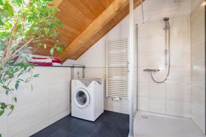 a washing machine in a bathroom with a shower at Blockhaus - Ferienwohnung Sunset in Erdmannsdorf +20 photos