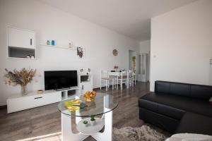 TV a/nebo společenská místnost v ubytování Apartment Miriam