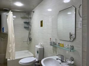 a bathroom with a sink and a toilet and a mirror at Hotel Shosh Boutique in Tashkent +46 photos