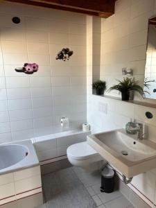 Et badeværelse på Ferienappartements Thomas Heindl