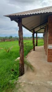 Příroda nedaleko kempu