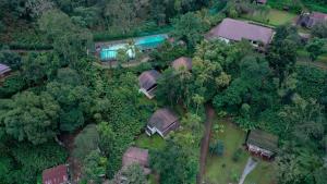 Letecký snímek ubytování Carmelia Haven Resort Thekkady
